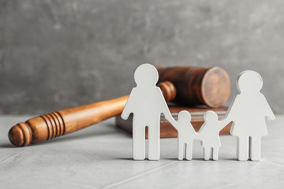 Family Law Action Plan